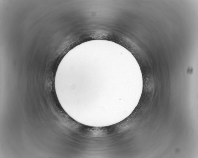 X0000093090370200710241205