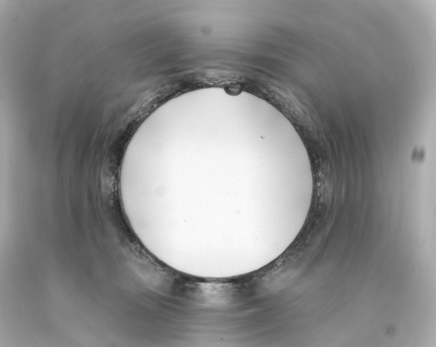 X0000093090371200710241205