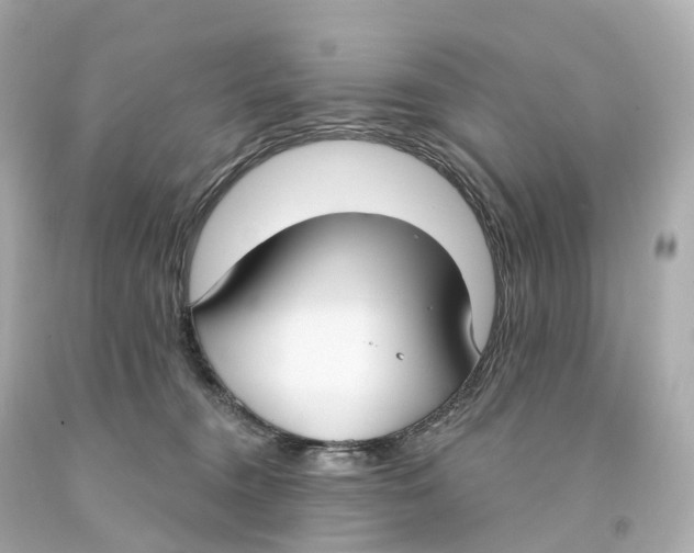 X0000093090372200710241205