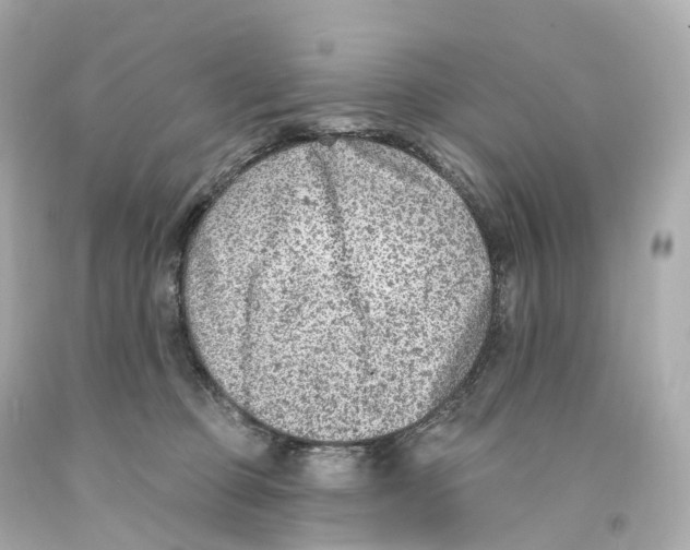 X0000093090373200710241205