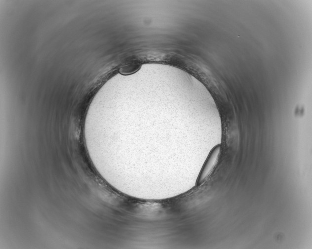 X0000093090374200710241205