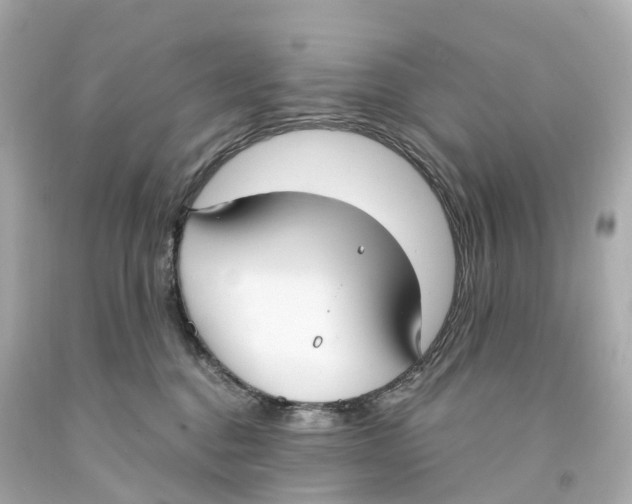 X0000093090376200710241205
