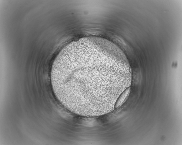 X0000093090377200710241205