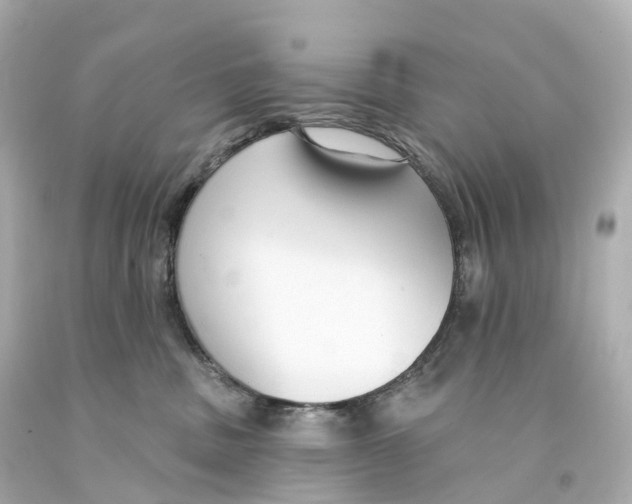 X0000093090379200710241205