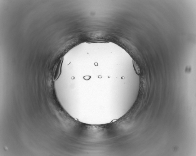 X0000093090380200710241205