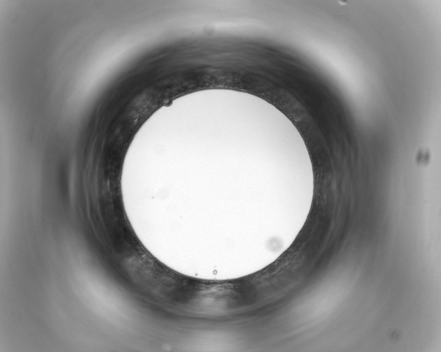 X0000093090382200710241205