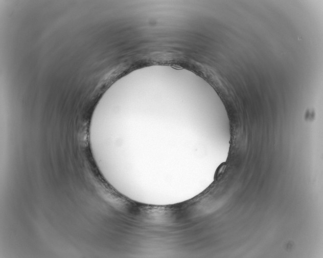 X0000093090383200710241205