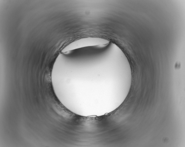 X0000093090384200710241205