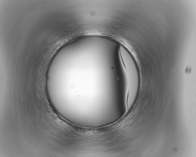 X0000093090385200710241205
