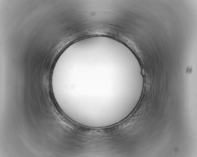 X0000093090386200710241205
