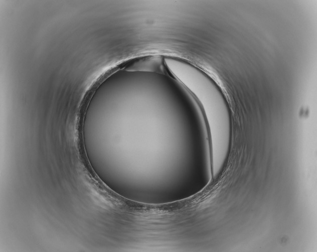 X0000093090387200710241205
