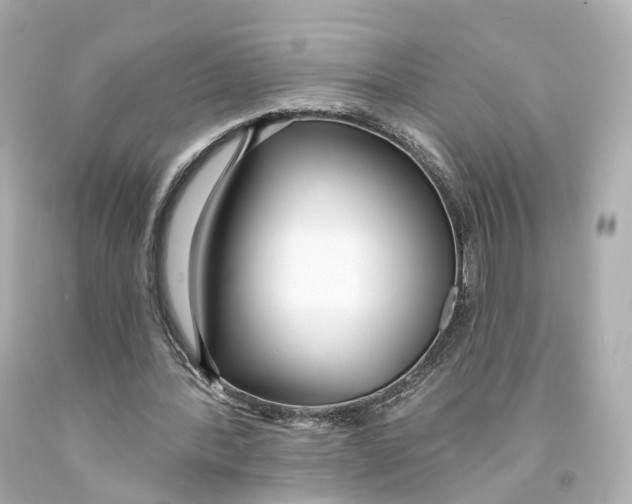 X0000093090388200710241205