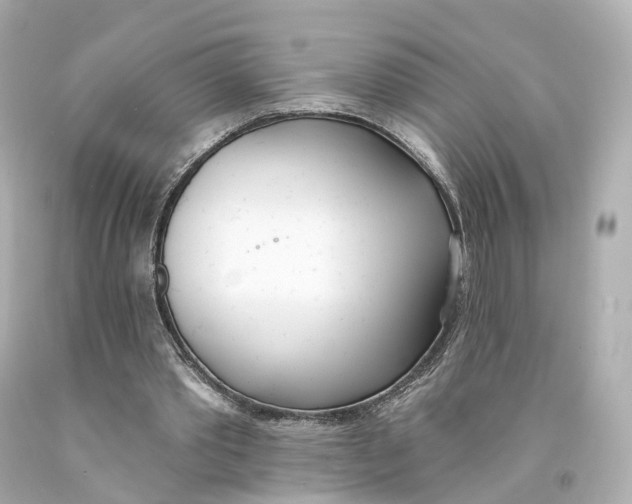 X0000093090389200710241205