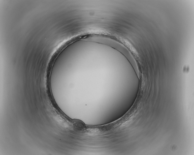 X0000093090391200710241205