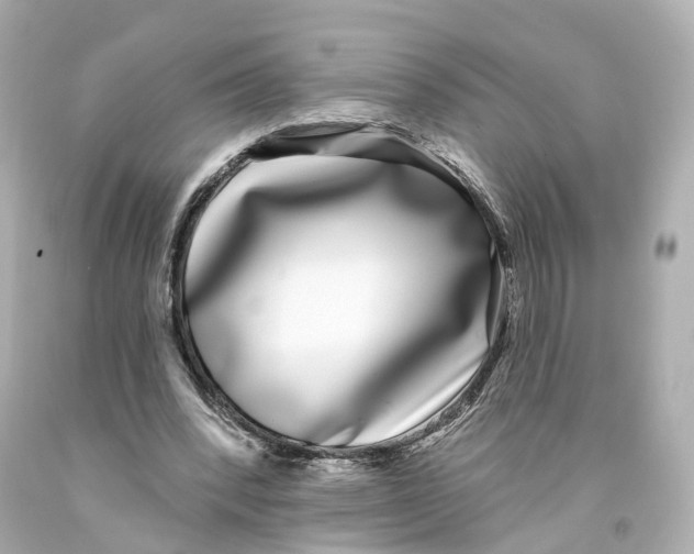 X0000093090392200710241205
