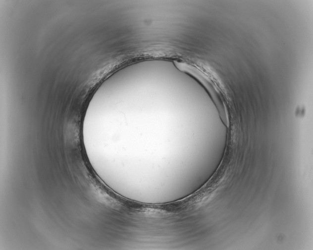 X0000093090393200710241205