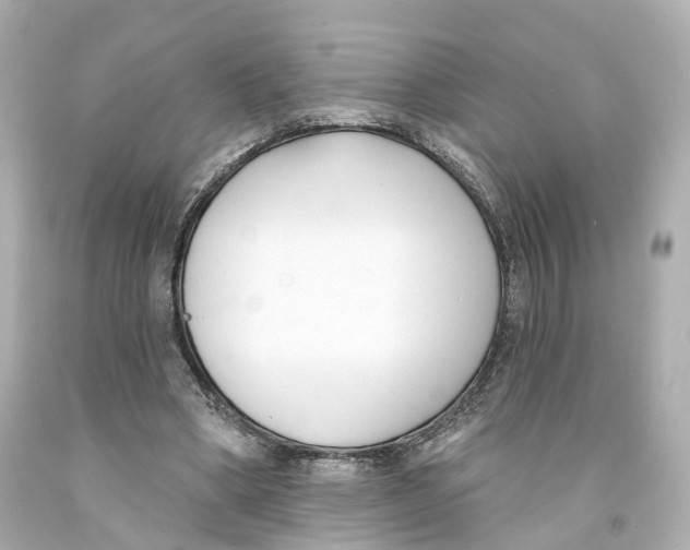 X0000093090394200710241204