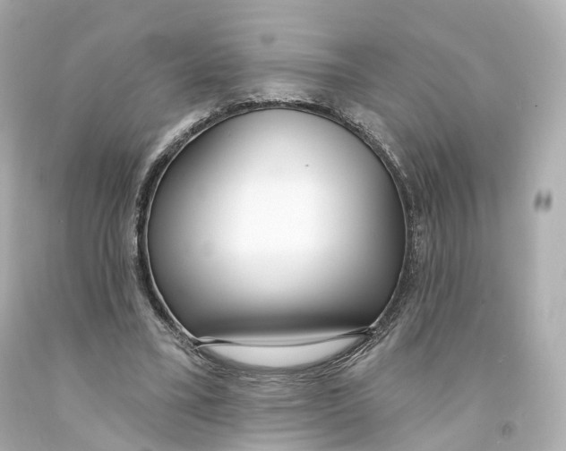 X0000093090395200710241204
