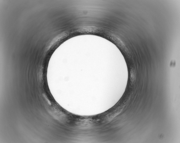 X0000093090396200710241204