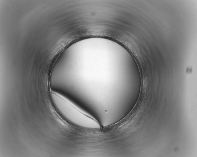 X0000093090397200710241204