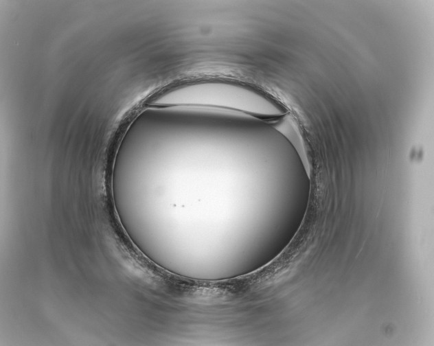 X0000093090399200710241204