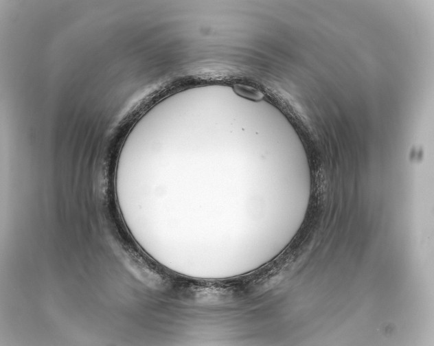X0000093090400200710241204