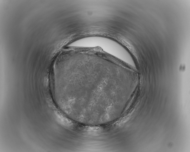 X0000093090401200710241204