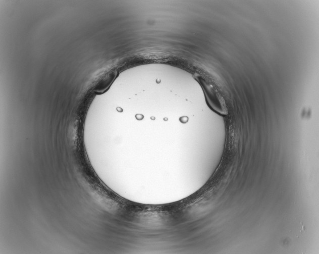 X0000093090404200710241204