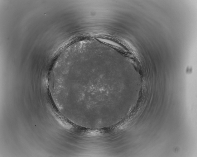 X0000093090405200710241204