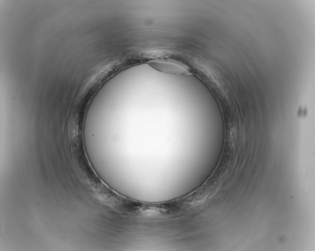 X0000093090407200710241204