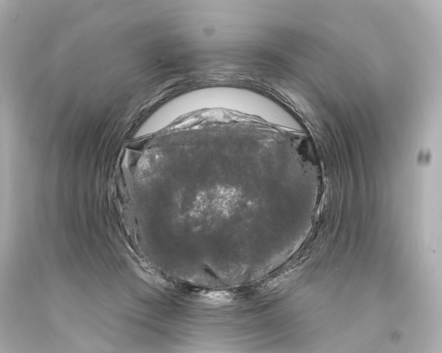 X0000093090409200710241204