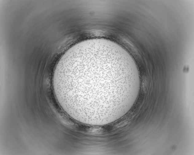X0000093090410200710241204