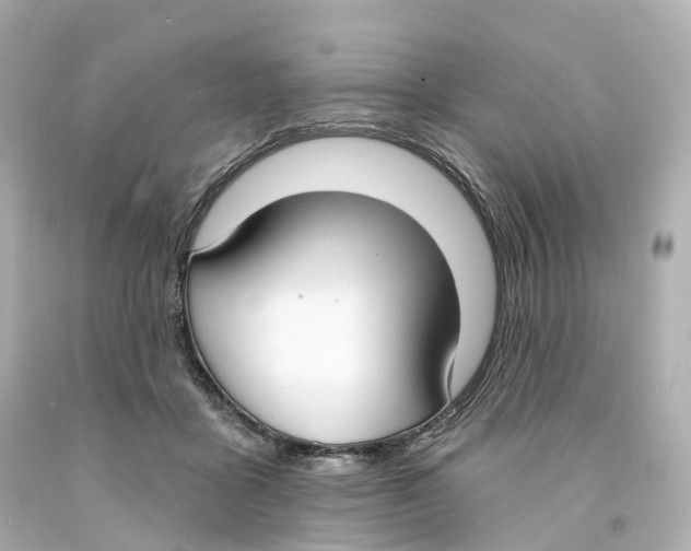 X0000093090411200710241204