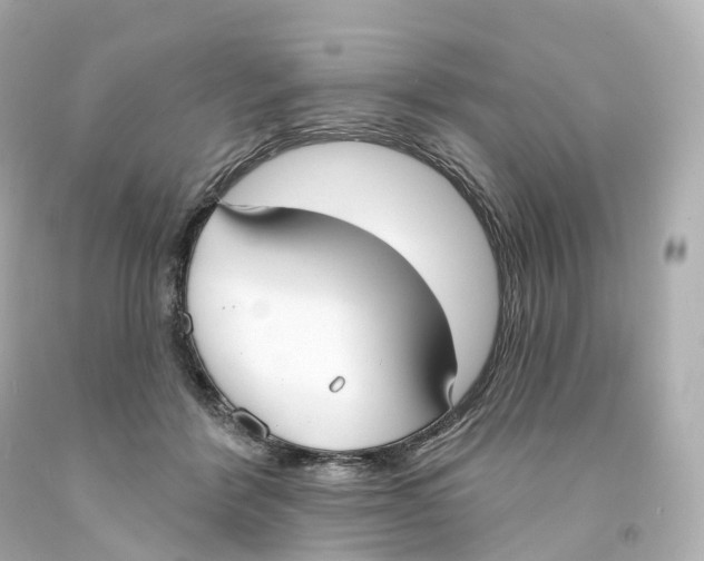 X0000093090412200710241204