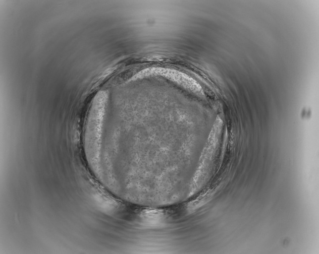 X0000093090413200710241204