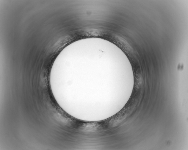 X0000093090414200710241204
