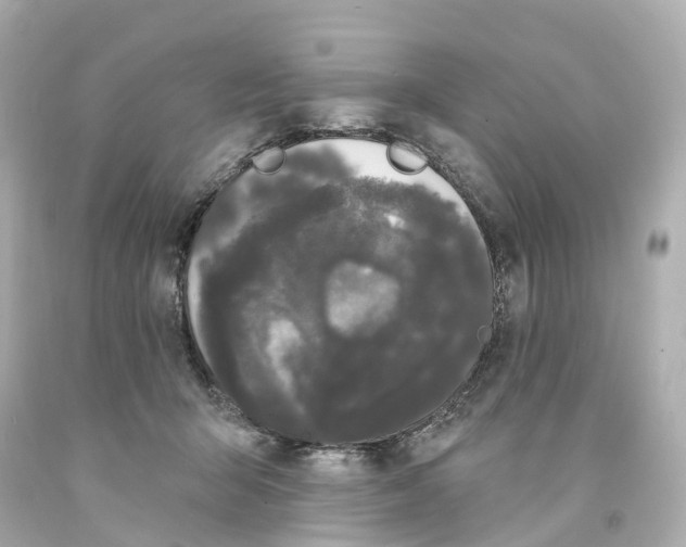 X0000093090415200710241204