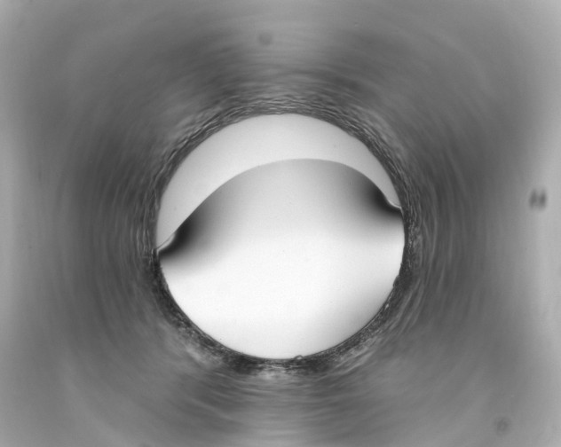 X0000093090416200710241204