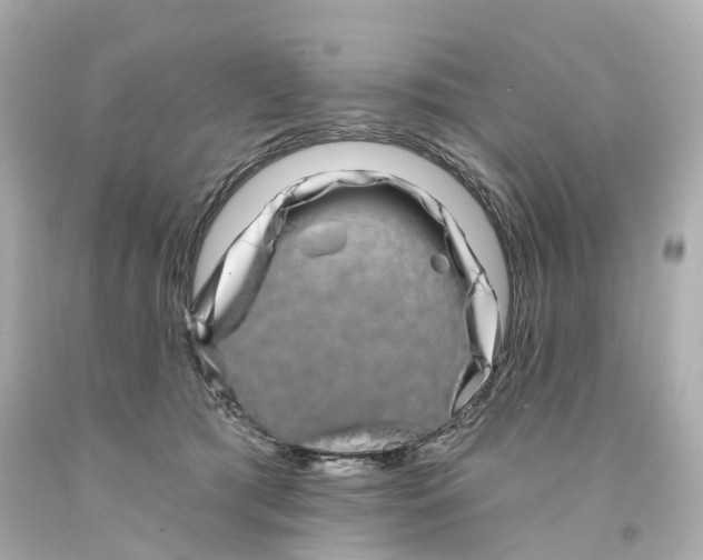 X0000093090417200710241204