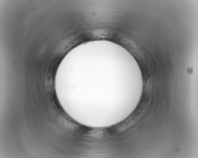 X0000093090418200710241204