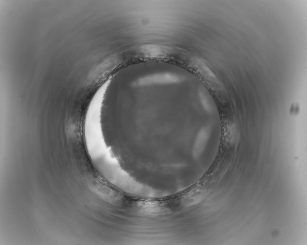 X0000093090419200710241204