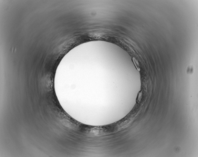 X0000093090420200710241204