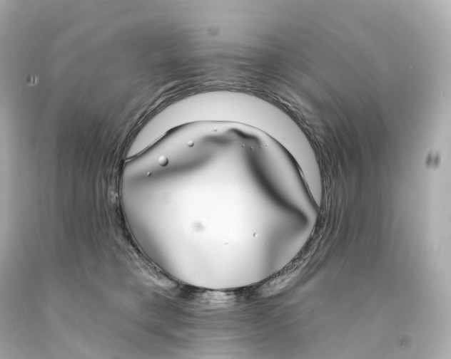 X0000093090421200710241204