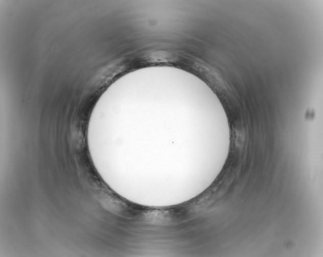 X0000093090422200710241204