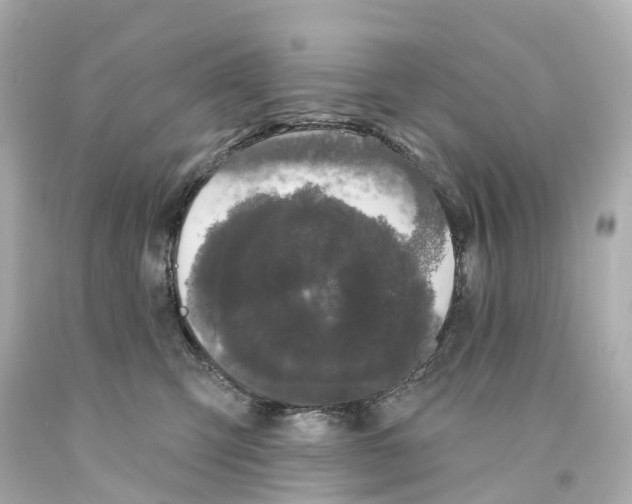X0000093090423200710241204