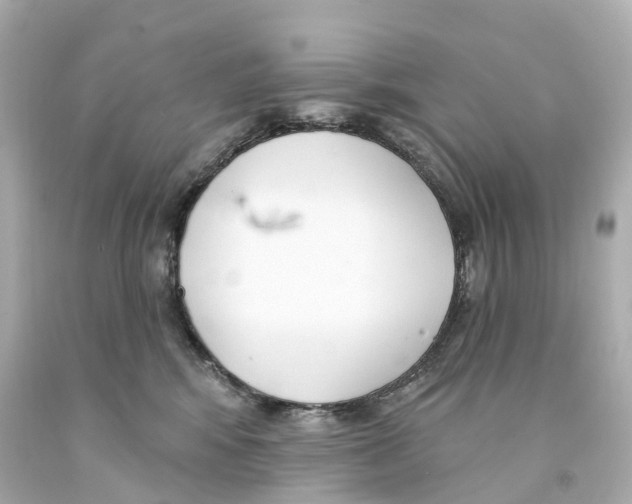 X0000093090424200710241204