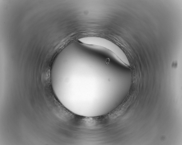 X0000093090425200710241204