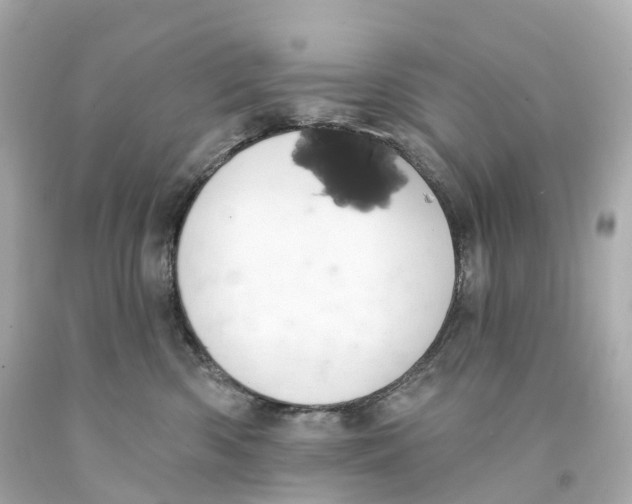 X0000093090426200710241204