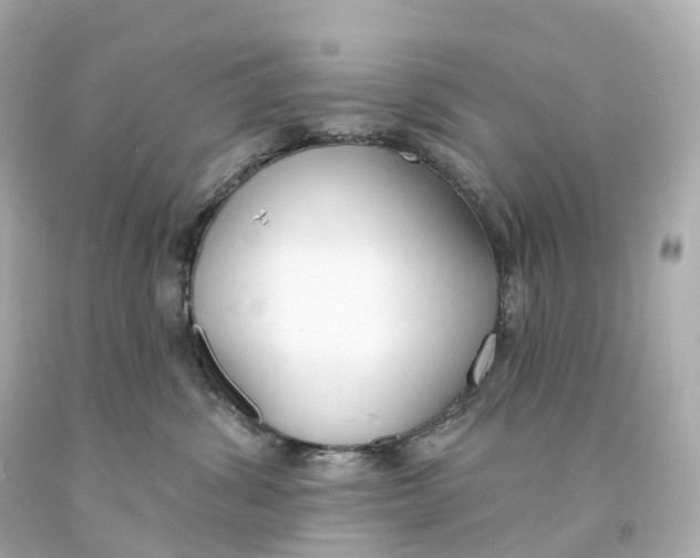 X0000093090428200710241204