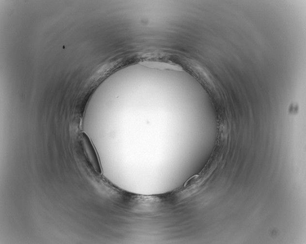 X0000093090429200710241204